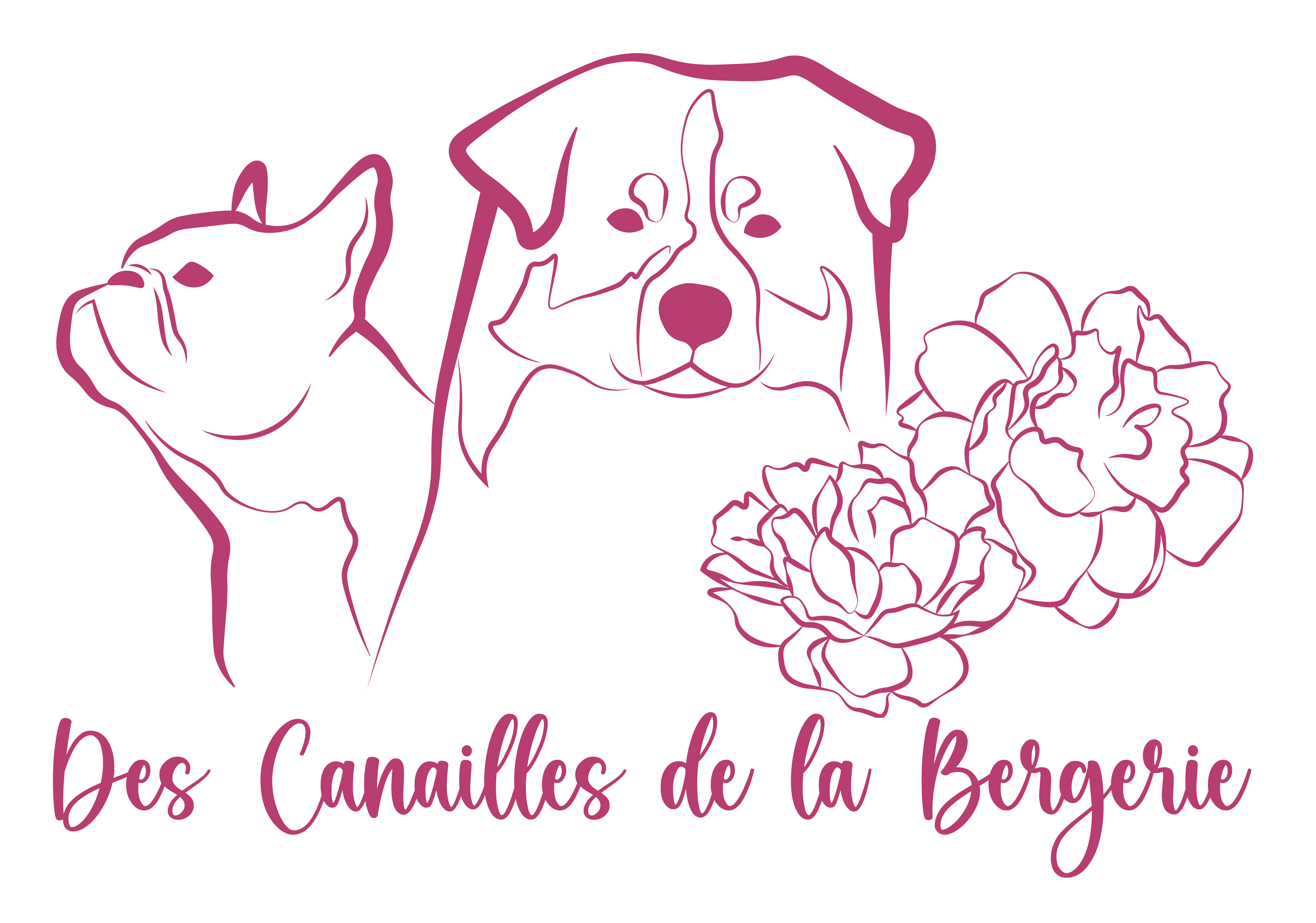 Des Canailles de la Bergerie