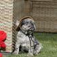 Chiot collier rose